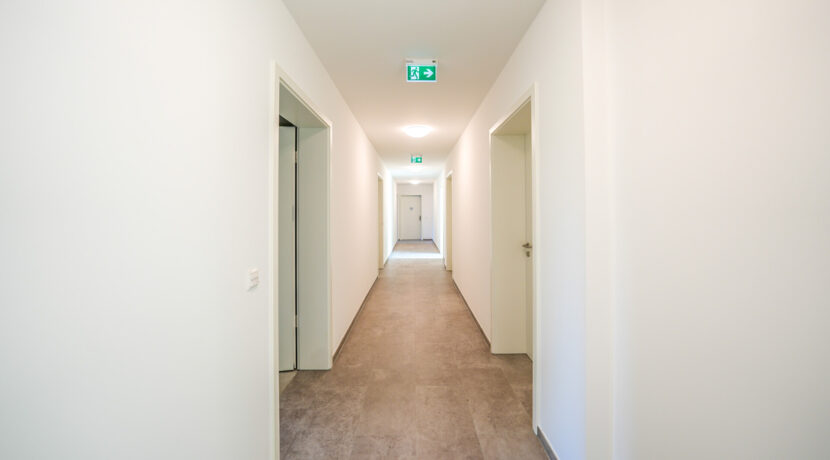 Hausfur