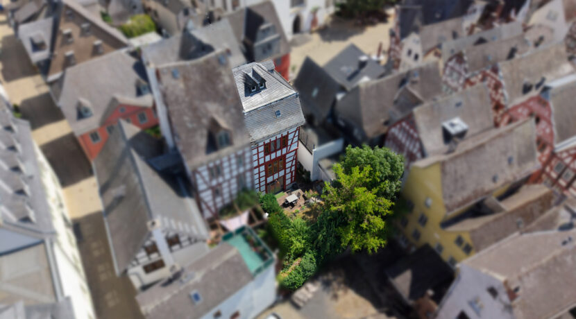 Rückansicht-Garten