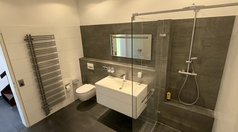 ...und Dusche & Handtuchheizkörper