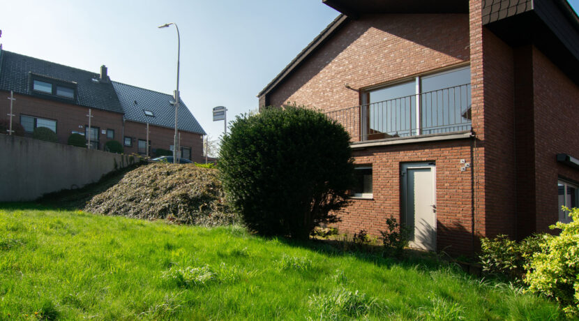 Rasenfläche