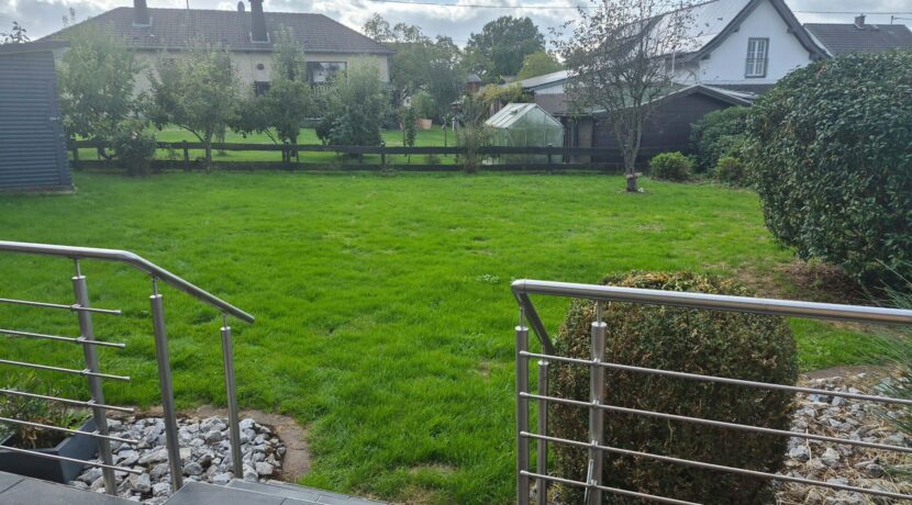 Blick in den Garten