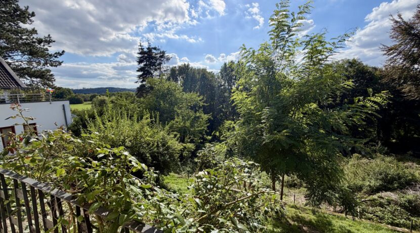 Toller Ausblick
