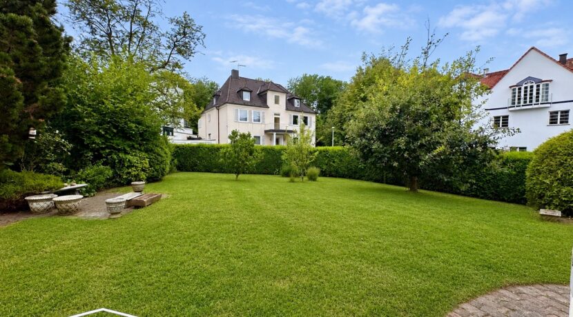 Blick in den Garten
