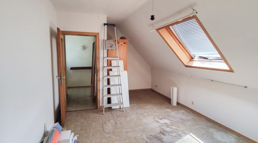 Zimmer DG NH