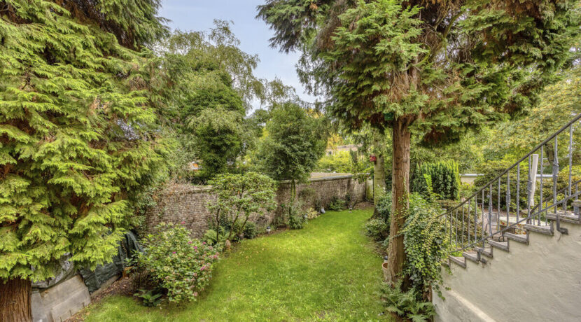 Blick in den Garten