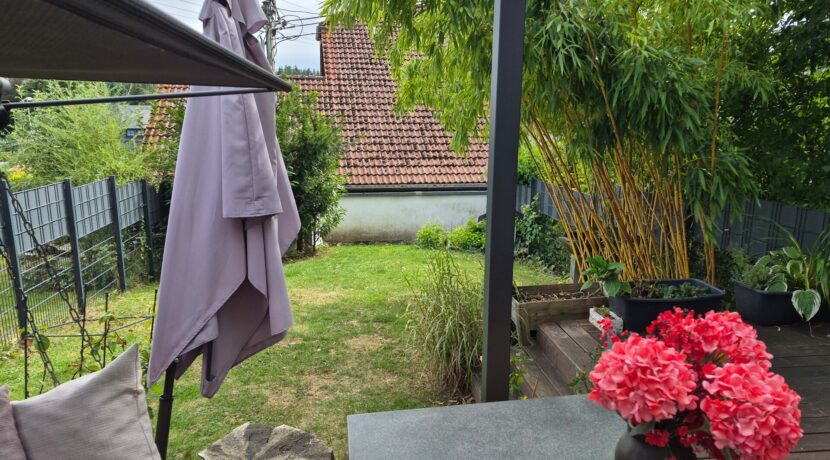Blick in den Garten