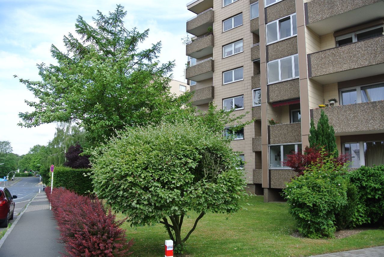 Neu renoviert ! Diese Singlewohnung mit Wintergarten wartet auf SIE ! - Photo 3