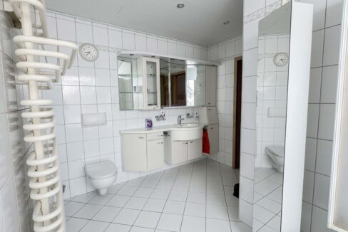 Tageslichtbad mit Wanne OG