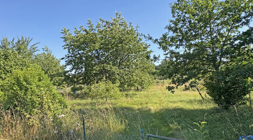 sep. Gartenparzelle