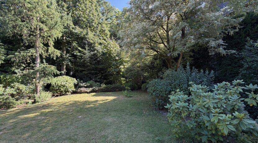 Parkähnlicher Garten