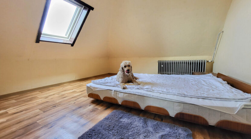 2. Schlafzimmer Dachgeschoss