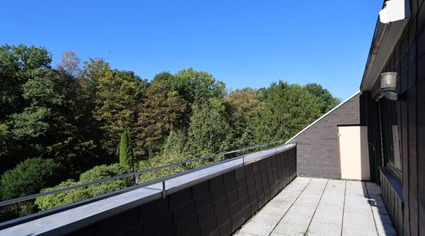Dachloggia mit Blick ins Grüne