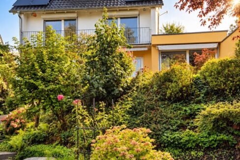 Blick aus dem Garten