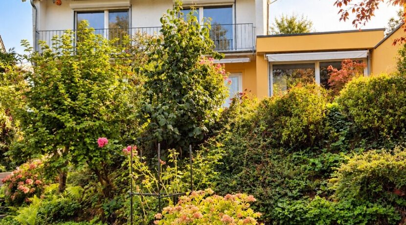 Blick aus dem Garten