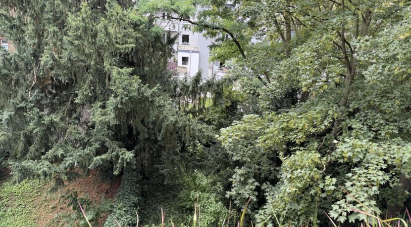 Balkonblick in die Gärten