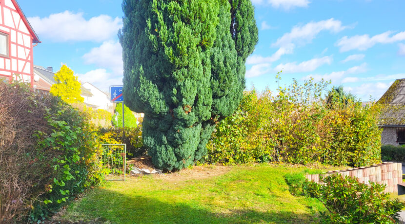 Garten vor dem Haus