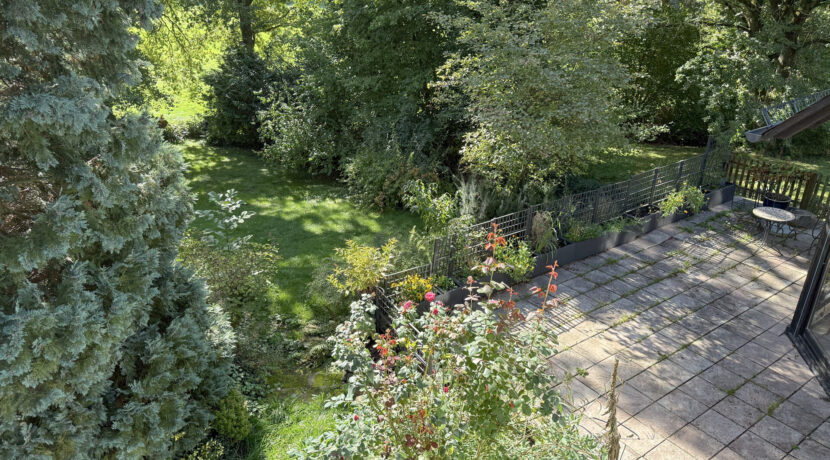 Blick auf Garten und Terrasse