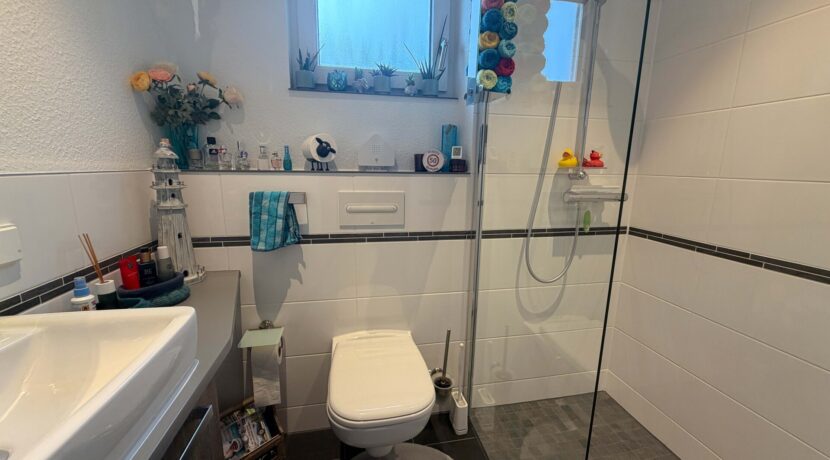 WC mit Dusche EG