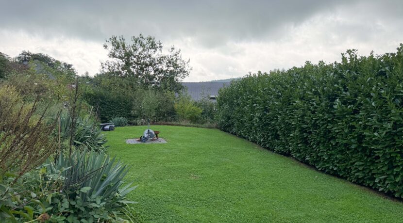 Garten - 1. Ebene
