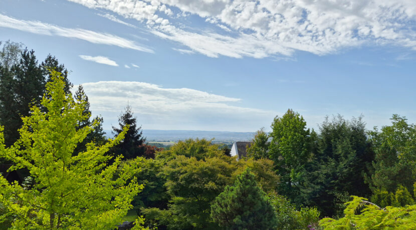 Fernblick