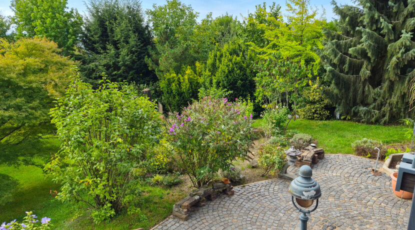 Blick auf die Terrasse