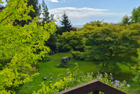 Blick in den Garten