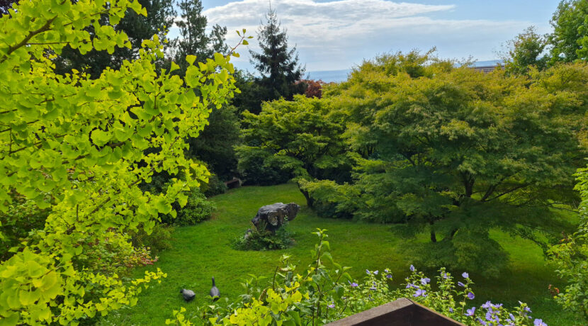 Blick in den Garten