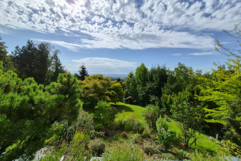 Blick in den Garten