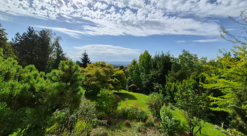 Blick in den Garten