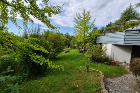 Blick in den Garten