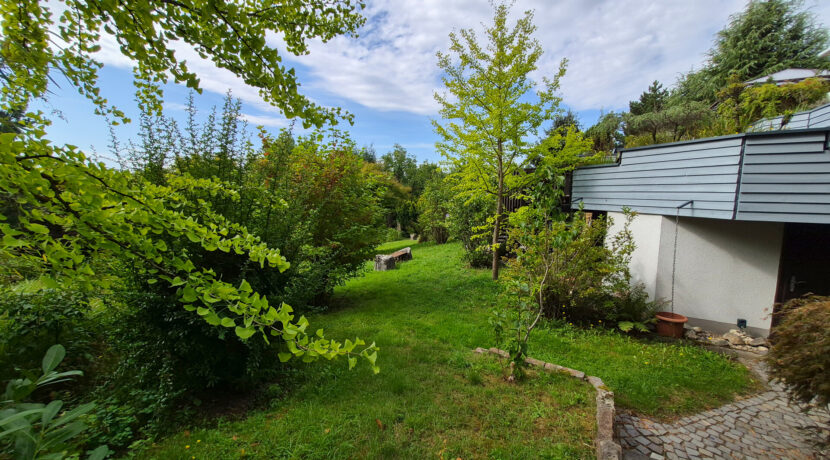 Blick in den Garten