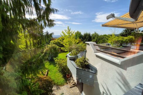 Blick in den Garten