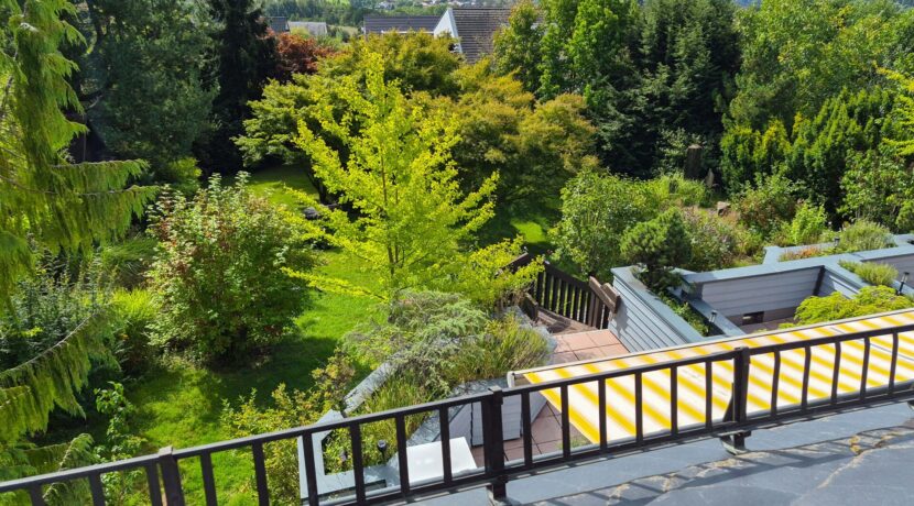 Blick in den Garten