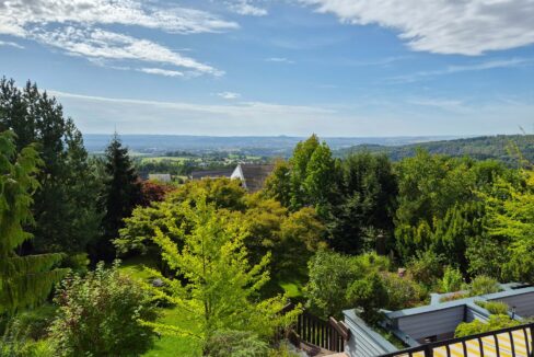 Fernblick