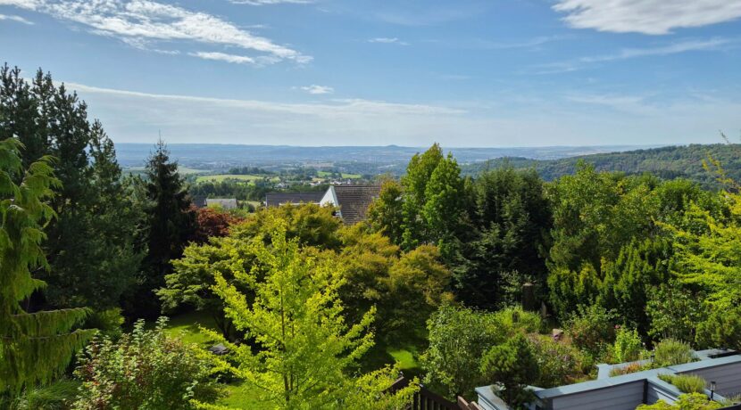 Fernblick