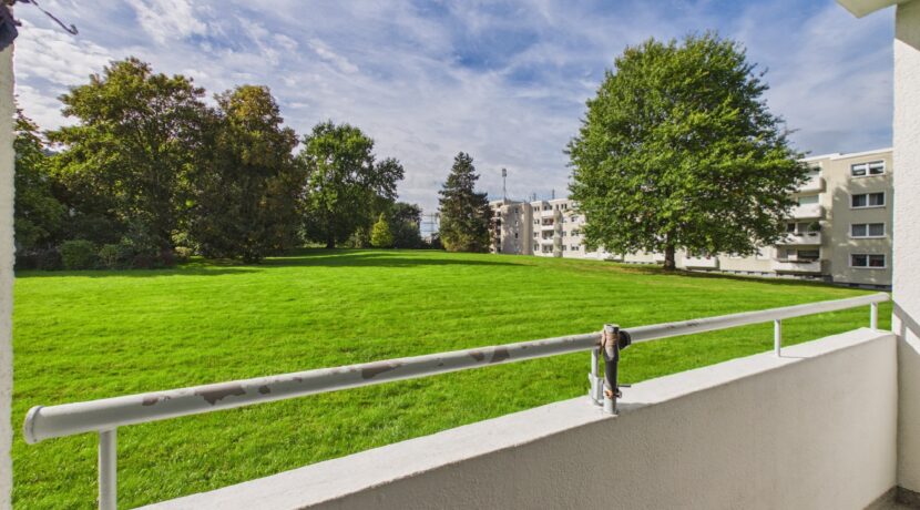 Ausblick ins Grüne