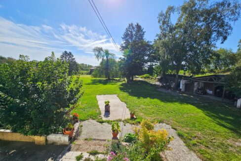 Blick in den Garten