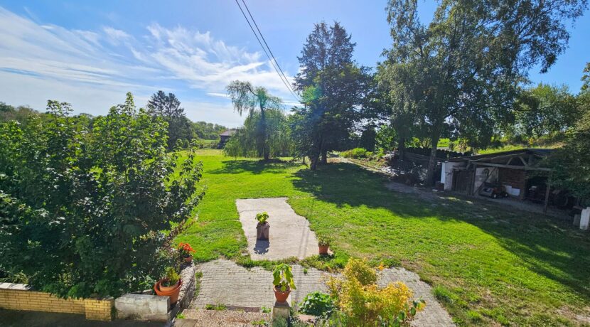 Blick in den Garten