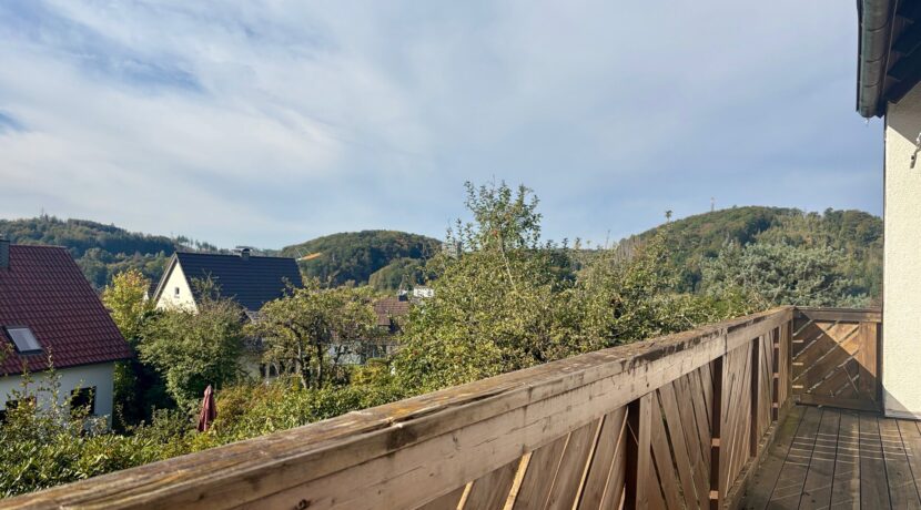 großer Balkon (EG)