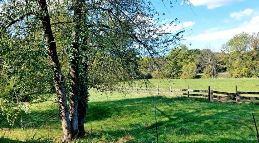 Natur pur!
