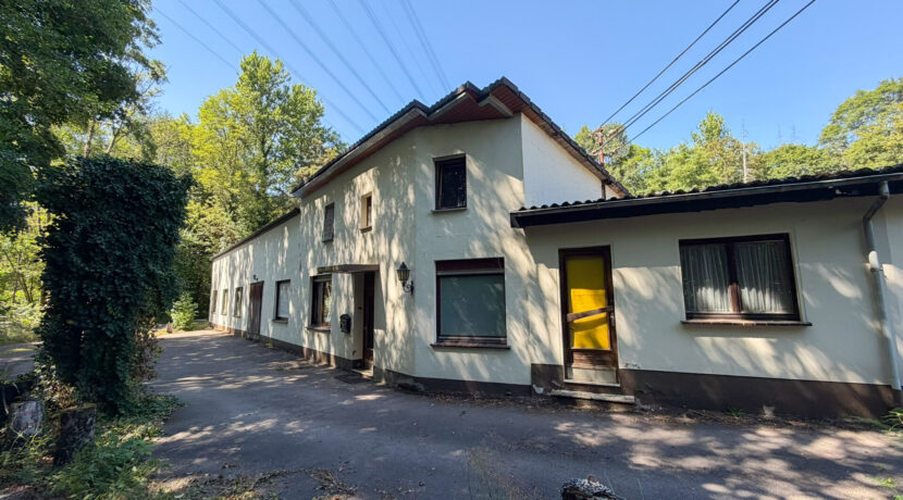 Haus 1