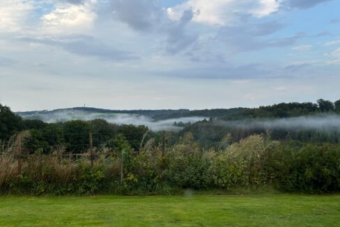 Aussicht Nebel