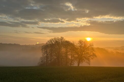 Abendstimmung