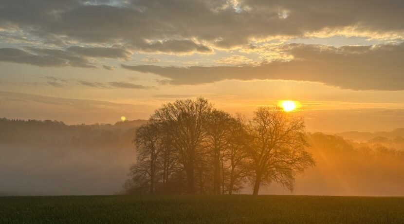 Abendstimmung