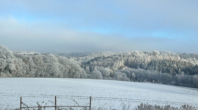 Aussicht mit Schnee