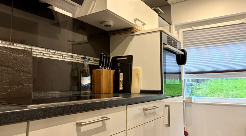moderne Küche EG - Anbau