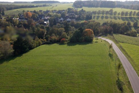 Weidefläche