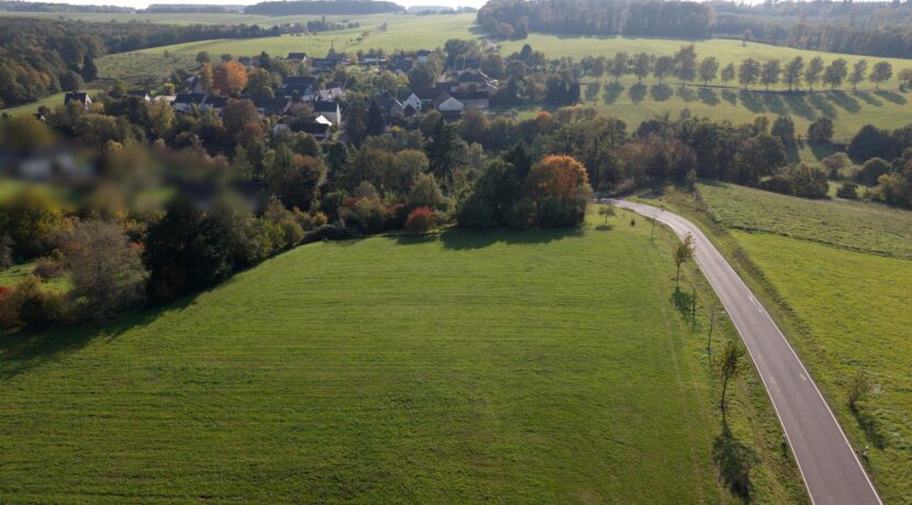 Weidefläche