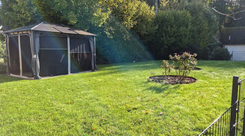 Blick in den Garten